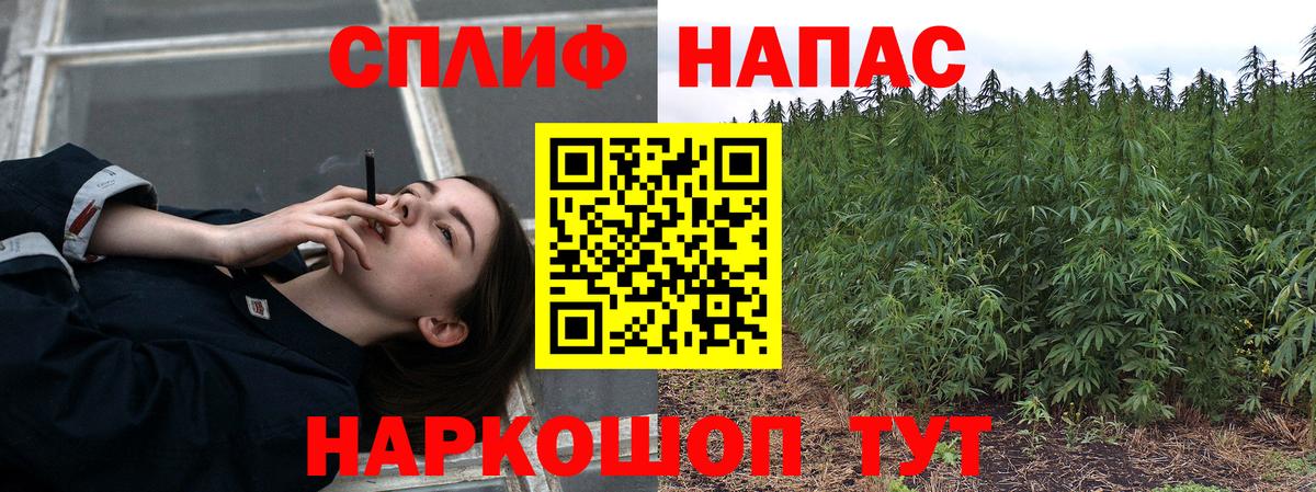 Шишки марихуана гибрид  МАРИХУАНА AK-47  Бошки Шишки марихуана  Благовещенск  Вход с VPN  Конопля MAZAR 